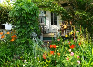 charlottes-garden-one1