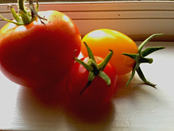 three tomatoes