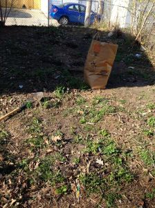 This year's blank slate